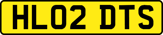 HL02DTS