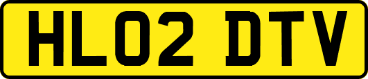 HL02DTV