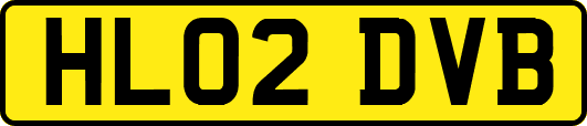 HL02DVB