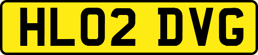 HL02DVG