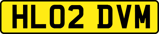 HL02DVM