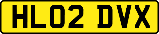 HL02DVX