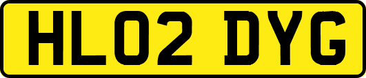 HL02DYG