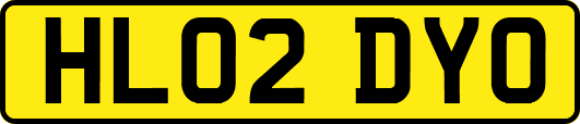 HL02DYO