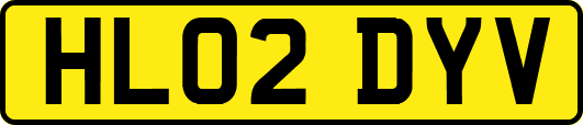 HL02DYV