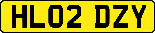 HL02DZY
