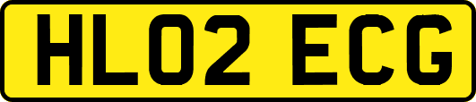 HL02ECG