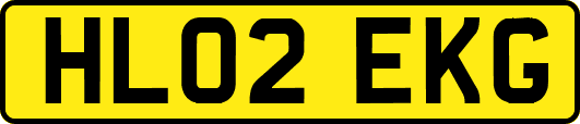 HL02EKG