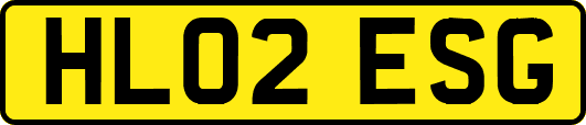 HL02ESG