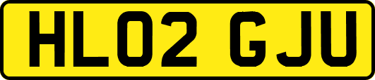 HL02GJU