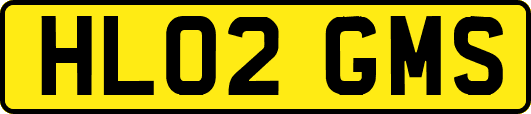HL02GMS