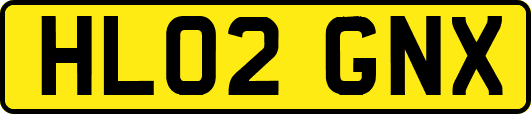 HL02GNX