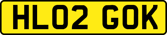 HL02GOK