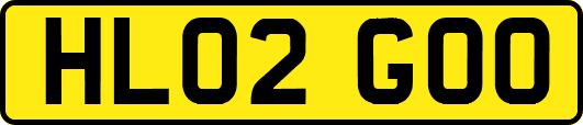 HL02GOO
