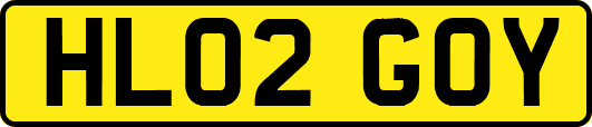 HL02GOY