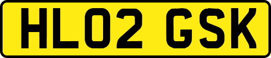 HL02GSK