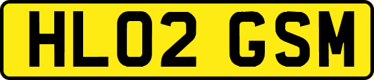 HL02GSM