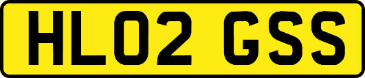 HL02GSS