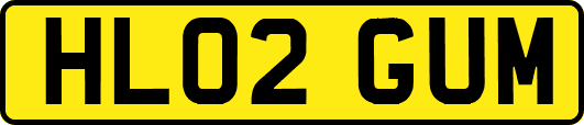 HL02GUM