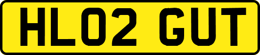HL02GUT