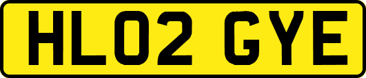 HL02GYE