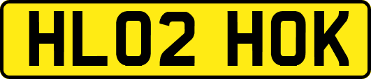 HL02HOK