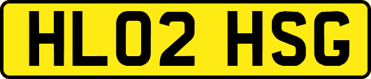 HL02HSG