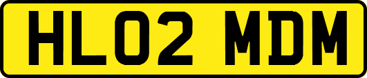 HL02MDM