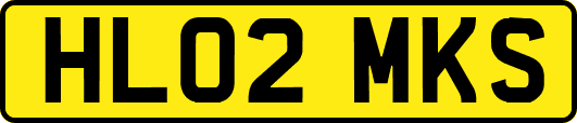 HL02MKS