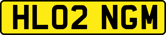 HL02NGM