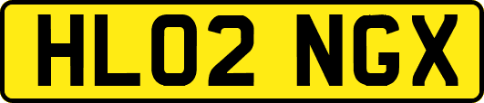 HL02NGX