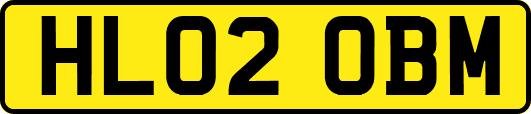 HL02OBM