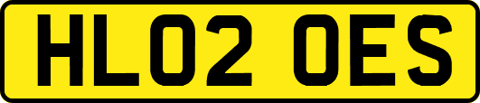 HL02OES