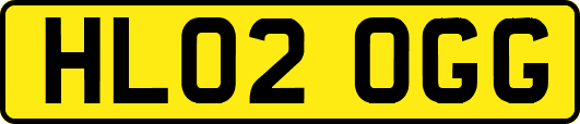 HL02OGG