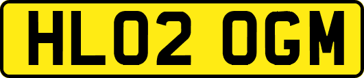 HL02OGM