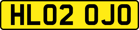 HL02OJO