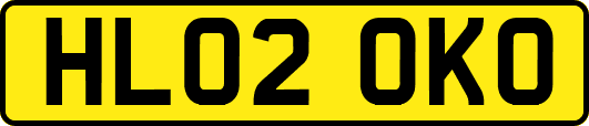HL02OKO