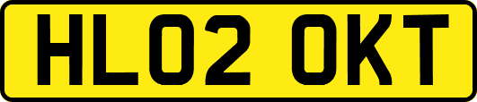 HL02OKT