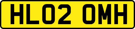 HL02OMH