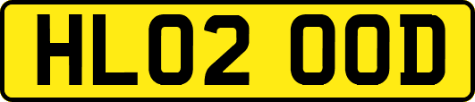 HL02OOD