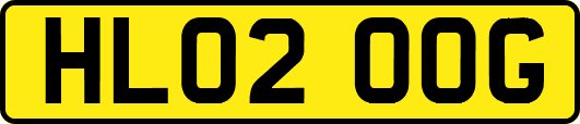 HL02OOG