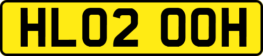 HL02OOH