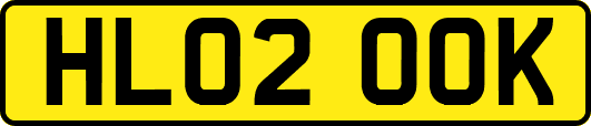 HL02OOK