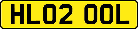 HL02OOL