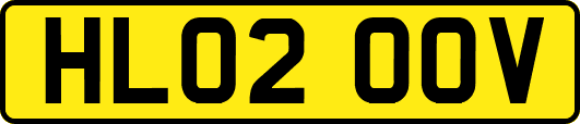 HL02OOV