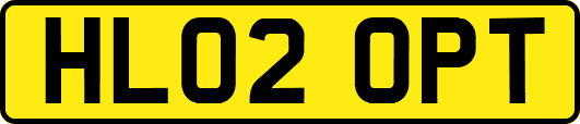 HL02OPT