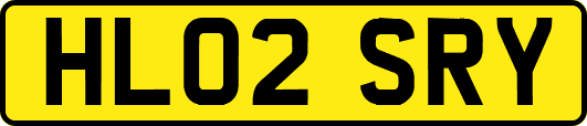 HL02SRY