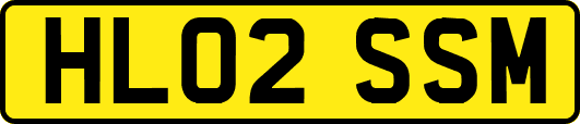 HL02SSM