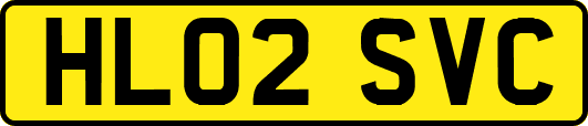 HL02SVC