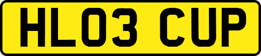 HL03CUP